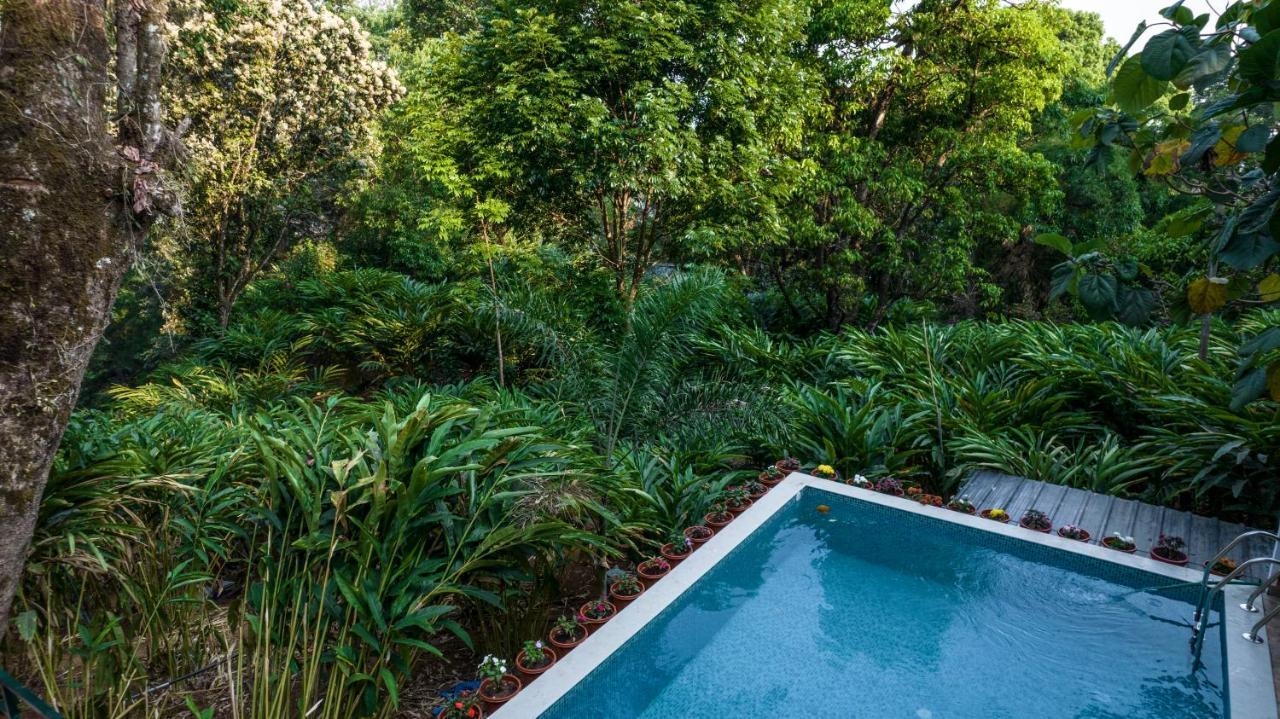 מונאר Spice Jungle Resort מראה חיצוני תמונה